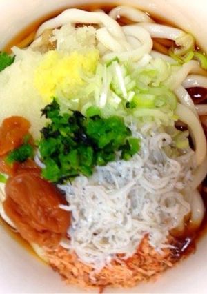 梅*ちりめん*さっぱりうどん-レシピのメイン写真