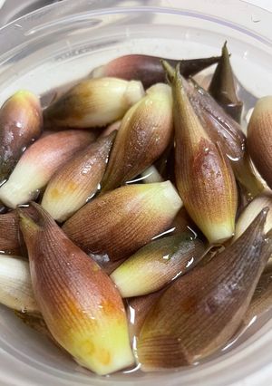 簡単❣️ミョウガの甘酢漬け-レシピのメイン写真