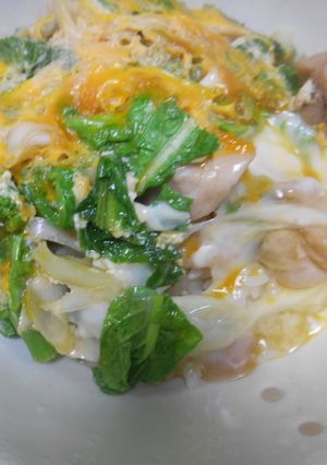 菜の花入り親子丼-レシピのメイン写真