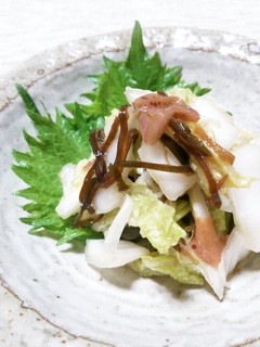 即席☆白菜の漬け物 梅塩昆布-レシピのメイン写真