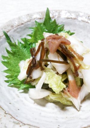 即席☆白菜の漬け物 梅塩昆布-レシピのメイン写真
