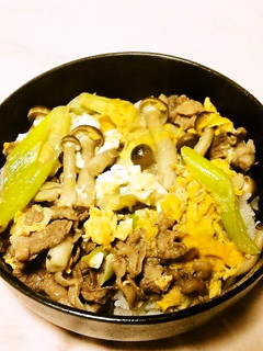 ☺簡単丼もの♪白だしだけで作れる牛玉丼☺-レシピのメイン写真
