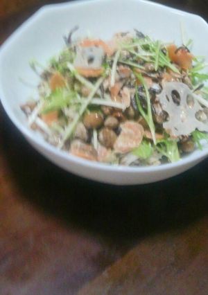 リメイク!柔らか節分豆の和風サラダ-レシピのメイン写真