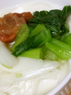 簡単に♫梅豆乳うどん-レシピのメイン写真