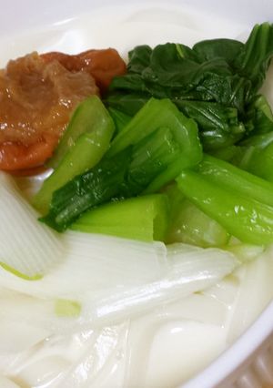 簡単に♫梅豆乳うどん-レシピのメイン写真