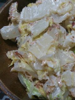 白菜のサラダ-レシピのメイン写真