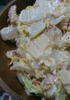 白菜のサラダ-レシピのメイン写真