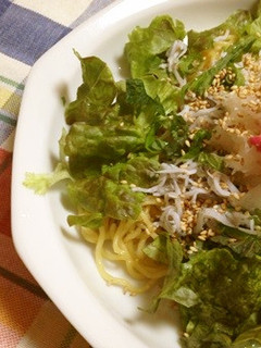 ノンオイル♬さっぱりおろしの焼きそばスタ-レシピのメイン写真