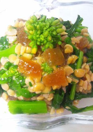 納豆と菜の花の奈良漬和え-レシピのメイン写真