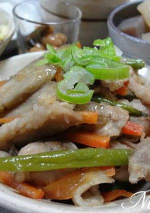 豚肉とごぼうの香味ソース-レシピのメイン写真