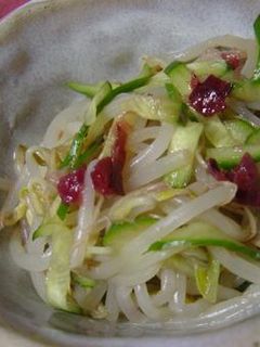 もやしとキュウリの梅和え-レシピのメイン写真