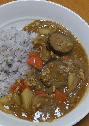 なすと鶏ミンチのカレー-レシピのメイン写真