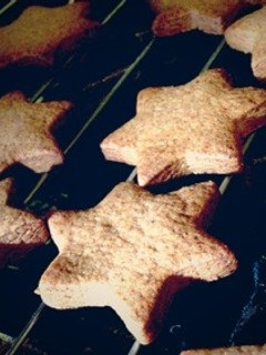 自分のおやつ・マーガリンでココアクッキー-レシピのメイン写真