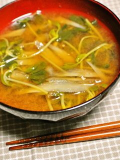 豆苗とごぼうの味噌汁-レシピのメイン写真