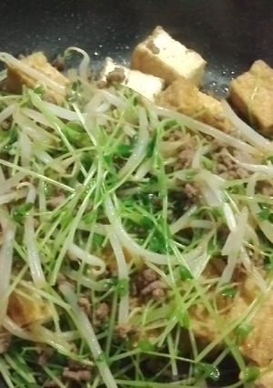簡単・厚揚げの炒め物-レシピのメイン写真