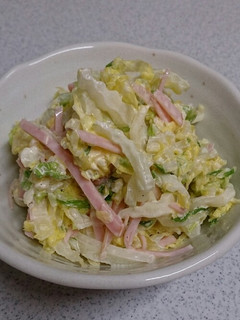 白菜サラダ-レシピのメイン写真
