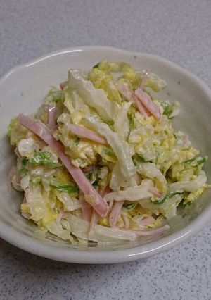 白菜サラダ-レシピのメイン写真