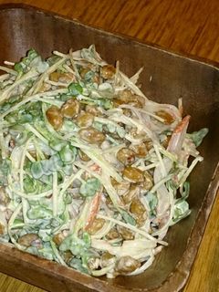 カイワレと納豆のカニカマサラダ-レシピのメイン写真