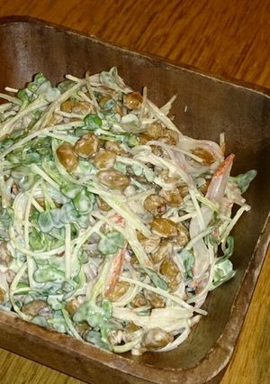 カイワレと納豆のカニカマサラダ-レシピのメイン写真