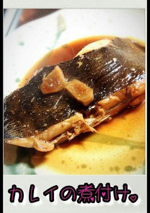 カレイの煮付け-レシピのメイン写真