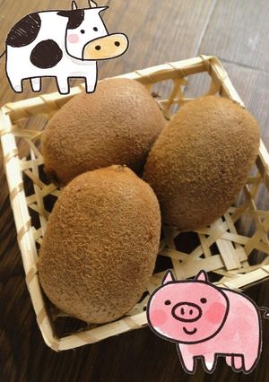 簡単にお肉を柔らかくする裏技②カレーなど-レシピのメイン写真