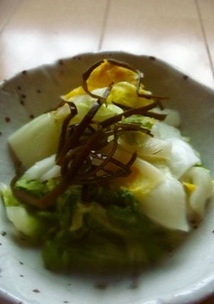 漬け容器バージョンです。白菜の漬物-レシピのメイン写真