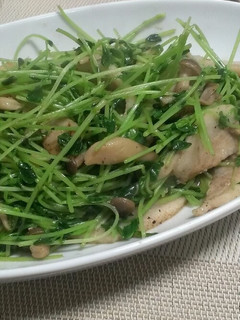 トントロと豆苗の中華風炒め-レシピのメイン写真