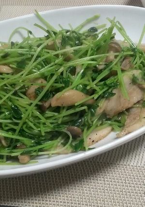 トントロと豆苗の中華風炒め-レシピのメイン写真