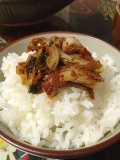 キムチ 覚え書き-レシピのメイン写真