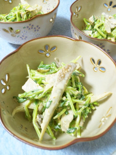 豆苗とゴボウの簡単サラダ-レシピのメイン写真