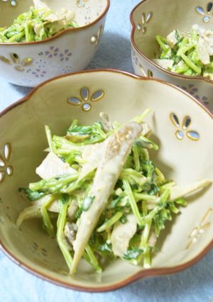 豆苗とゴボウの簡単サラダ-レシピのメイン写真