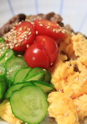 ●彩牛肉丼-レシピのメイン写真