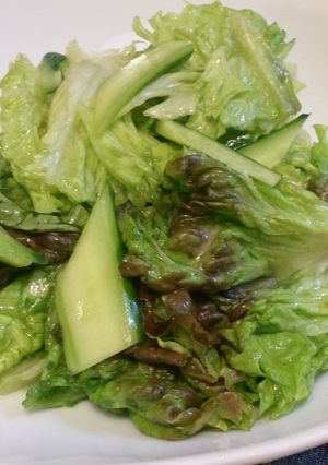 焼肉屋さんの塩サラダ(*´ω｀*)-レシピのメイン写真