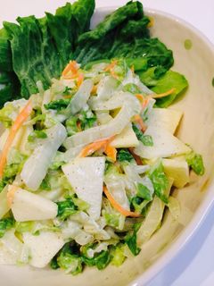 甘酸っぱい☆りんごと白菜のサラダ-レシピのメイン写真