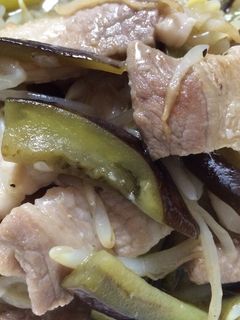 ナスと豚バラの塩麹炒め-レシピのメイン写真