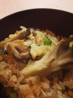 舞茸ごはん-レシピのメイン写真