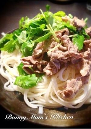 牛肉とミツバの＊多国籍風冷たいビーフン-レシピのメイン写真