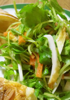 豆苗と三つ葉で★香味野菜のサラダ-レシピのメイン写真
