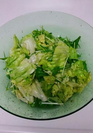 簡単！レタスと水菜の旨サラダ-レシピのメイン写真