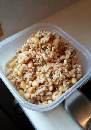 ご飯が進む☆大豆入り肉味噌+塩麹-レシピのメイン写真