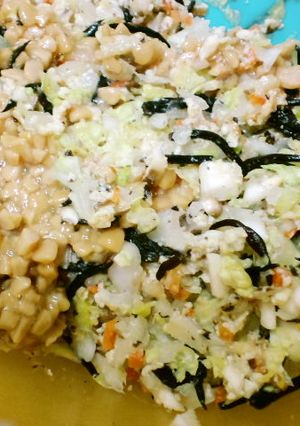 納豆と白菜の変わり餃子-レシピのメイン写真
