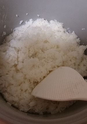ダイエットに！しらたきごはん-レシピのメイン写真