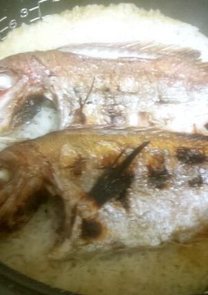 元魚屋が教える！絶品・炊飯器で『鯛めし』-レシピのメイン写真