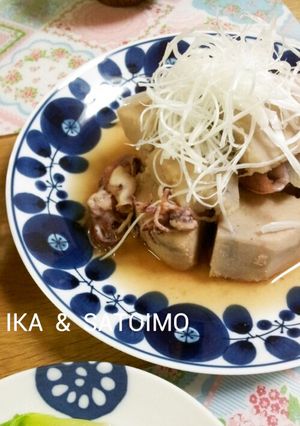 イカと里芋の煮物。-レシピのメイン写真