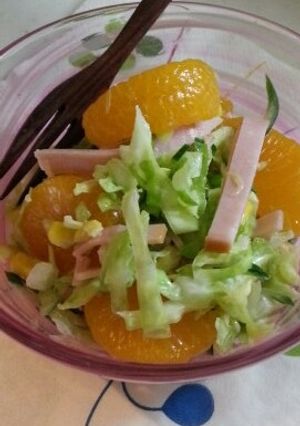 子供も喜ぶコールスローサラダ-レシピのメイン写真