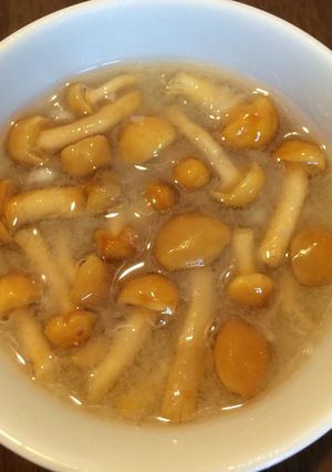 大根おろしとなめこのお味噌汁-レシピのメイン写真
