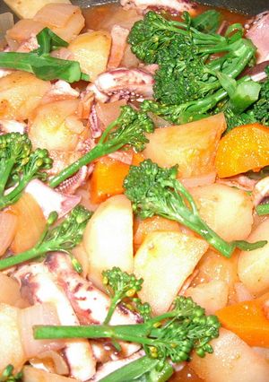 いかとお野菜のトマト煮-レシピのメイン写真