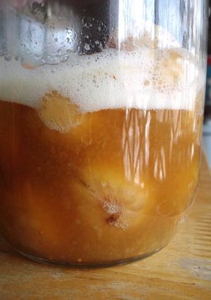 濃い 自家製 ドライフルーツ酵母種-レシピのメイン写真
