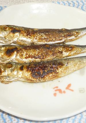 パパの焼き丸干しイワシ-レシピのメイン写真