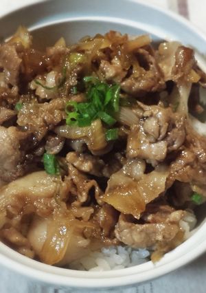 豚丼-レシピのメイン写真